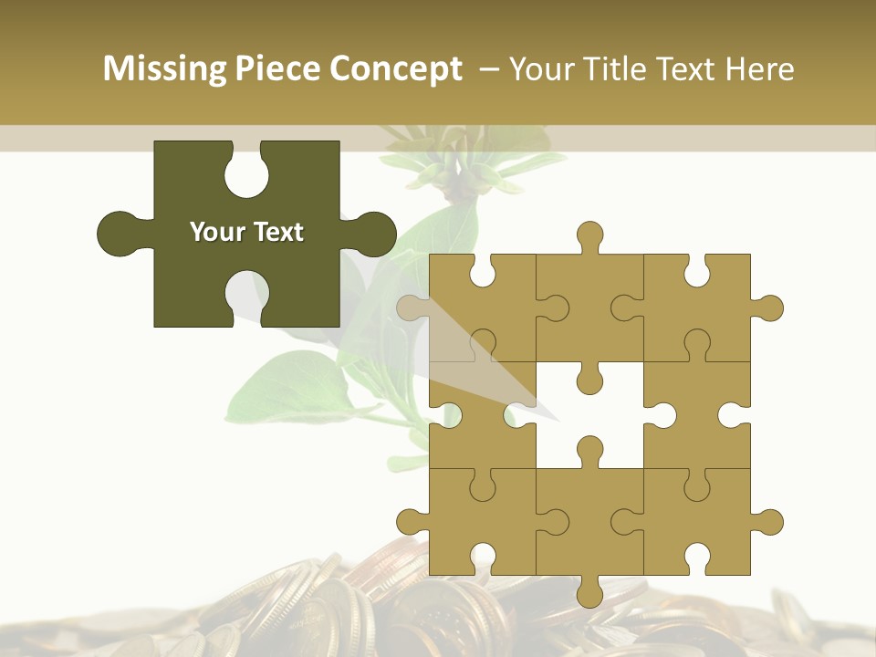 Coins And Plant, Isolated On White Background PowerPoint Template