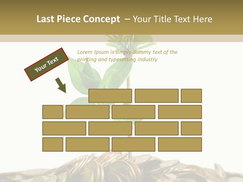 Coins And Plant, Isolated On White Background PowerPoint Template