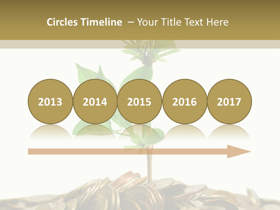 Coins And Plant, Isolated On White Background PowerPoint Template