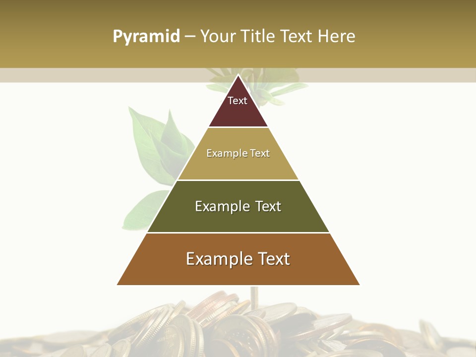 Coins And Plant, Isolated On White Background PowerPoint Template