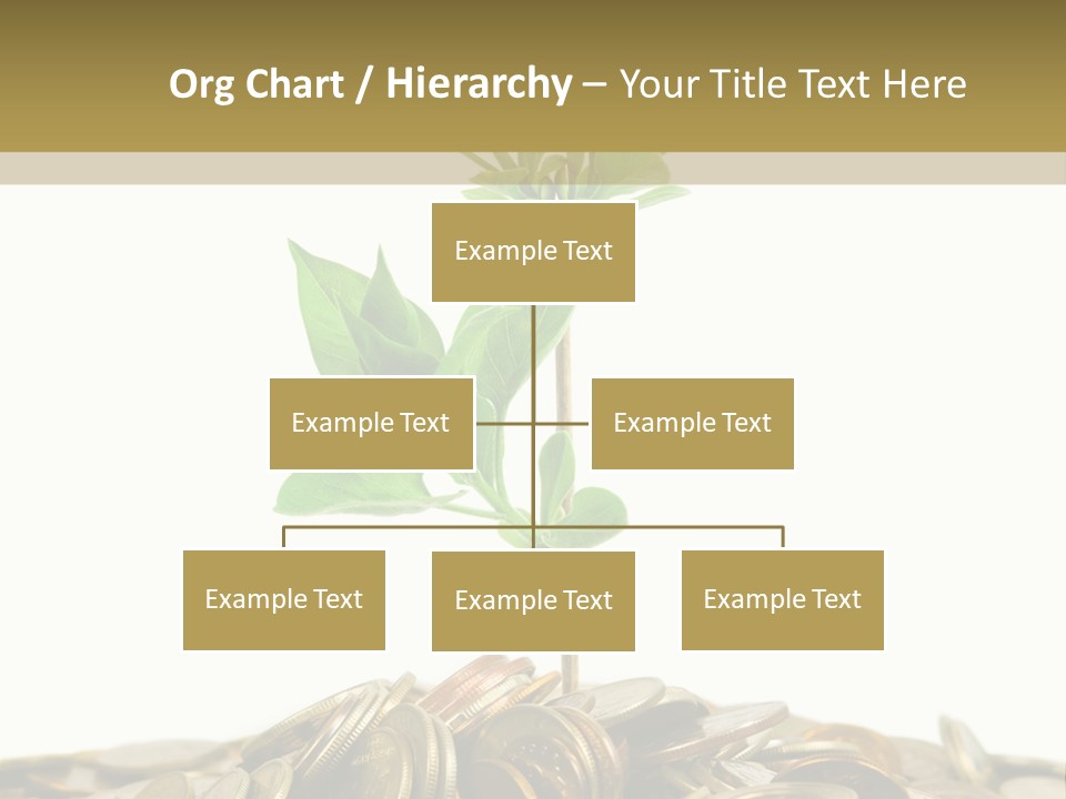 Coins And Plant, Isolated On White Background PowerPoint Template