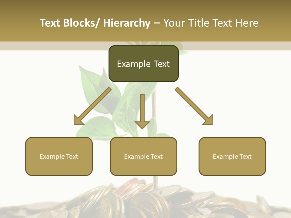 Coins And Plant, Isolated On White Background PowerPoint Template