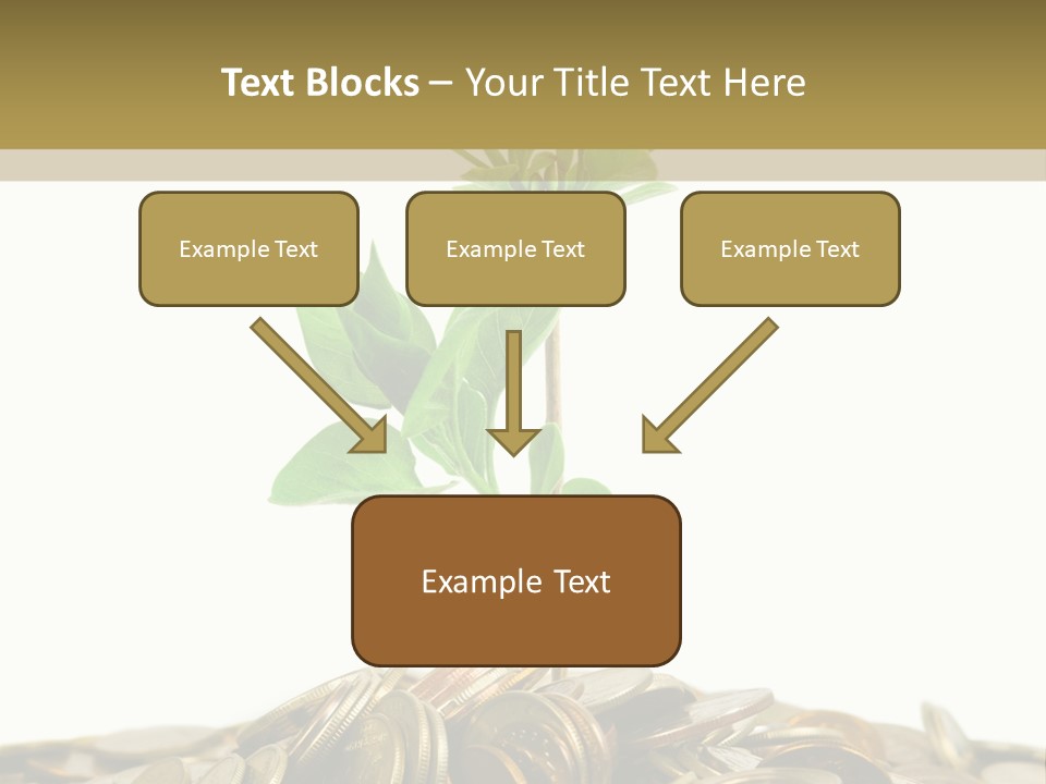 Coins And Plant, Isolated On White Background PowerPoint Template