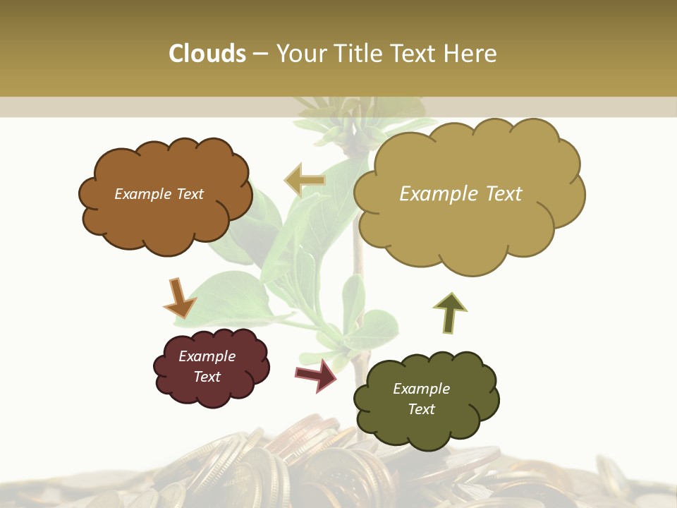 Coins And Plant, Isolated On White Background PowerPoint Template