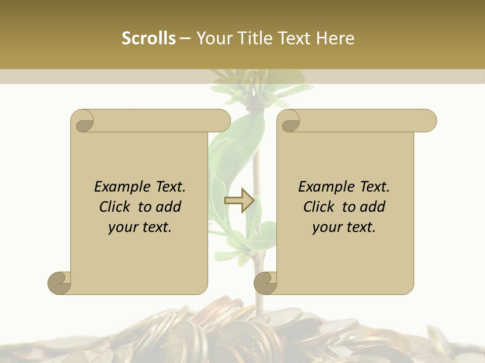 Coins And Plant, Isolated On White Background PowerPoint Template