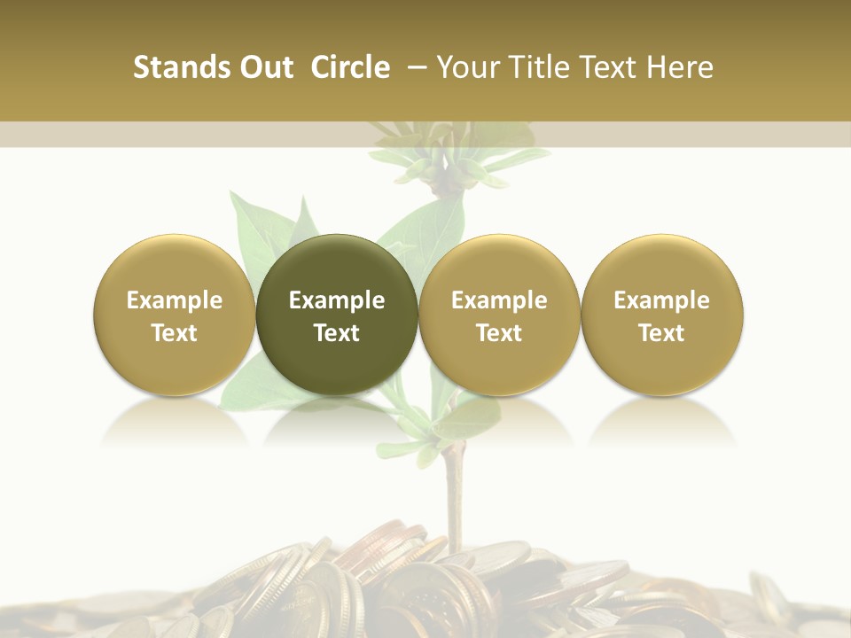 Coins And Plant, Isolated On White Background PowerPoint Template