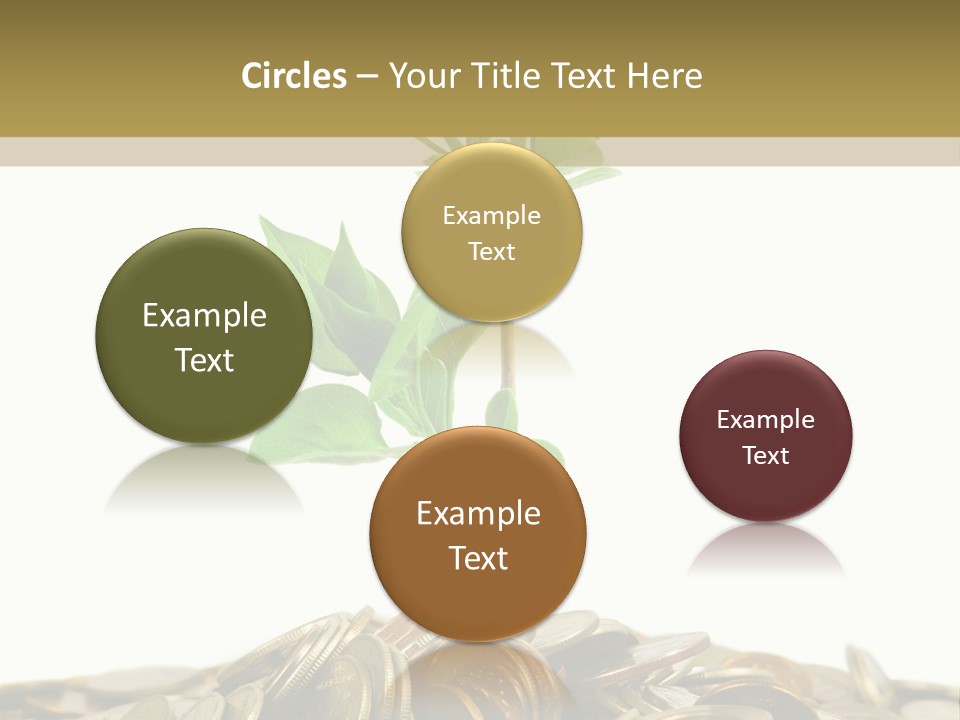 Coins And Plant, Isolated On White Background PowerPoint Template