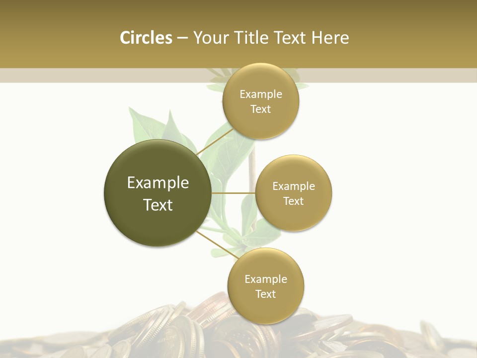 Coins And Plant, Isolated On White Background PowerPoint Template