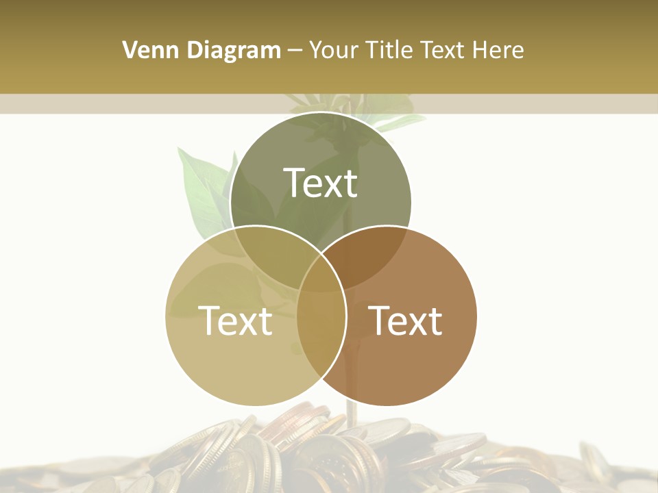 Coins And Plant, Isolated On White Background PowerPoint Template