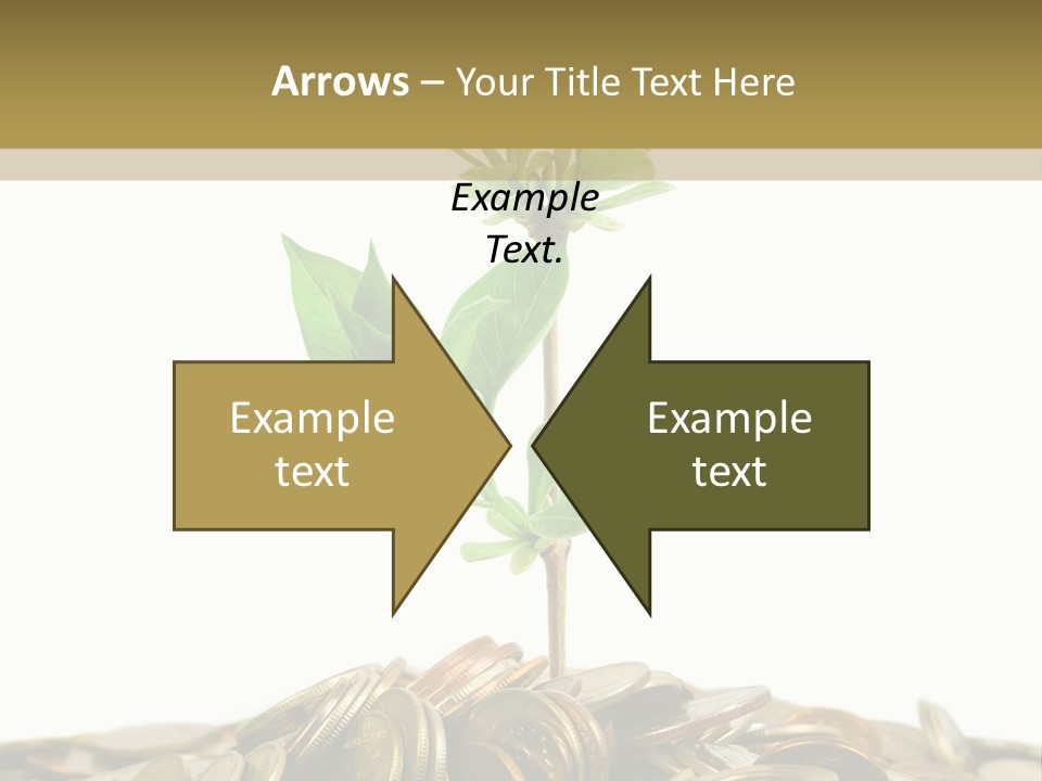 Coins And Plant, Isolated On White Background PowerPoint Template