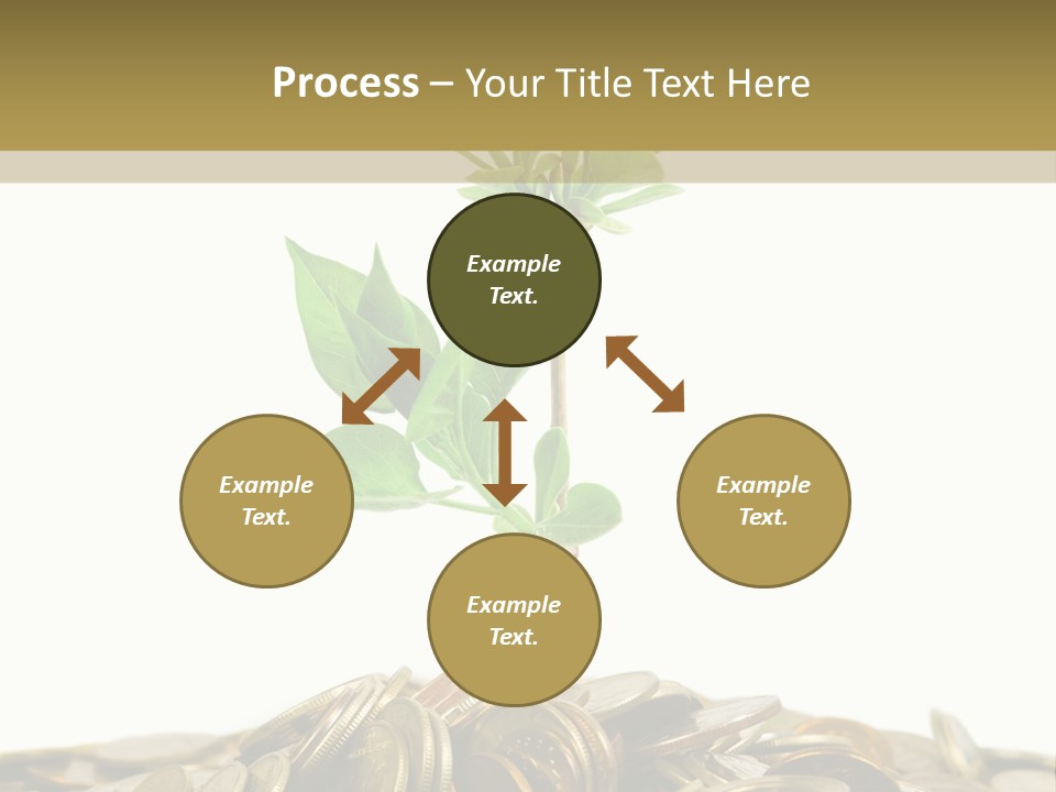 Coins And Plant, Isolated On White Background PowerPoint Template