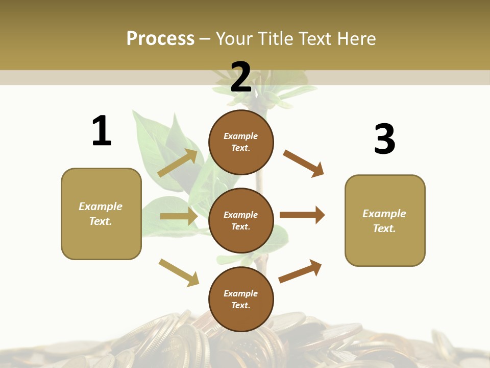 Coins And Plant, Isolated On White Background PowerPoint Template