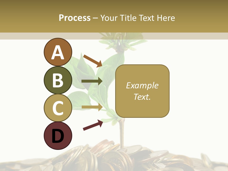 Coins And Plant, Isolated On White Background PowerPoint Template