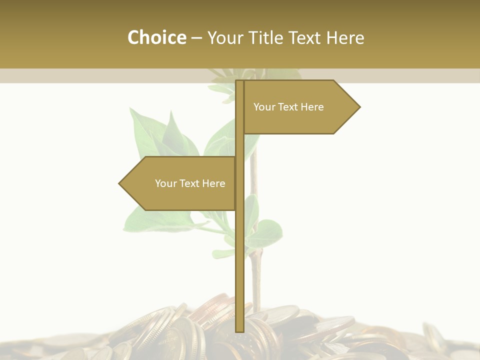 Coins And Plant, Isolated On White Background PowerPoint Template