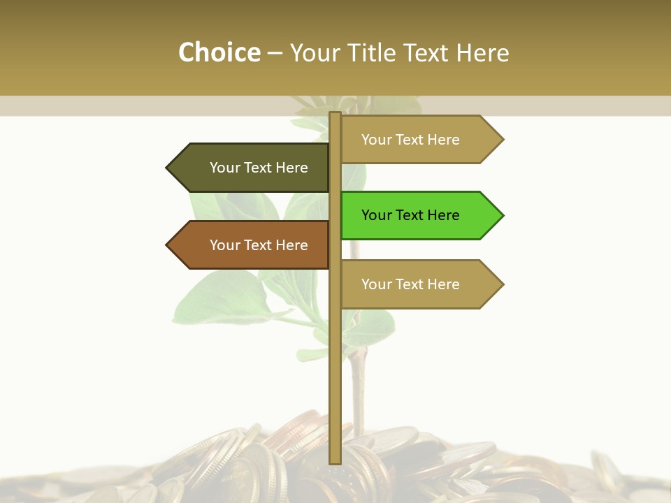 Coins And Plant, Isolated On White Background PowerPoint Template