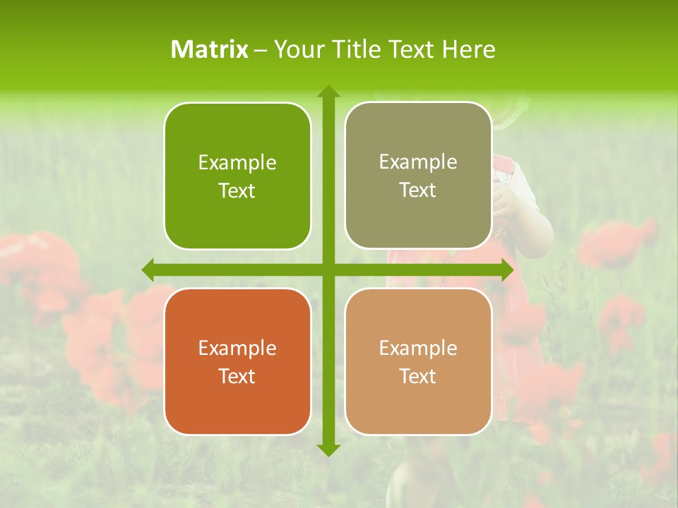 Garnished Dish With Pork Cheese Tomato And Lettuce PowerPoint Template