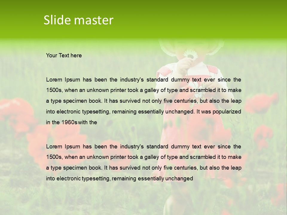 Garnished Dish With Pork Cheese Tomato And Lettuce PowerPoint Template