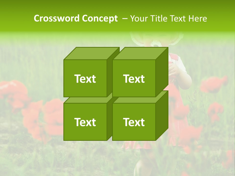 Garnished Dish With Pork Cheese Tomato And Lettuce PowerPoint Template