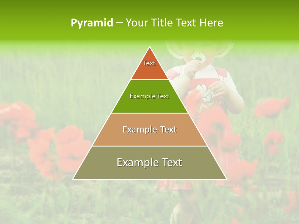 Garnished Dish With Pork Cheese Tomato And Lettuce PowerPoint Template