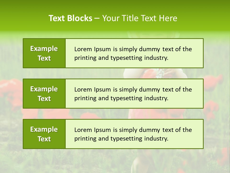 Garnished Dish With Pork Cheese Tomato And Lettuce PowerPoint Template