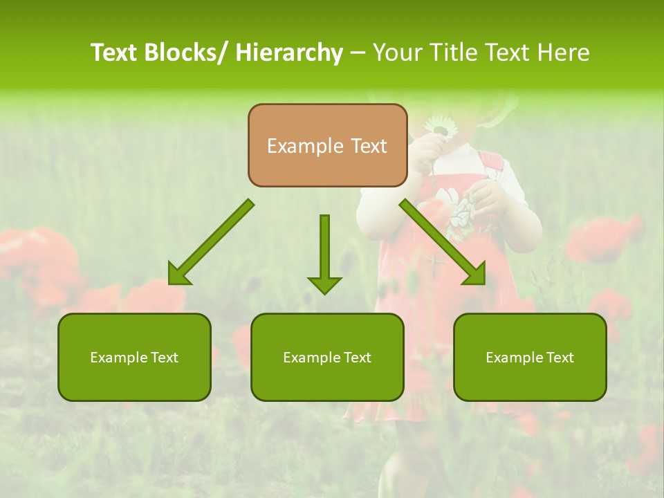 Garnished Dish With Pork Cheese Tomato And Lettuce PowerPoint Template