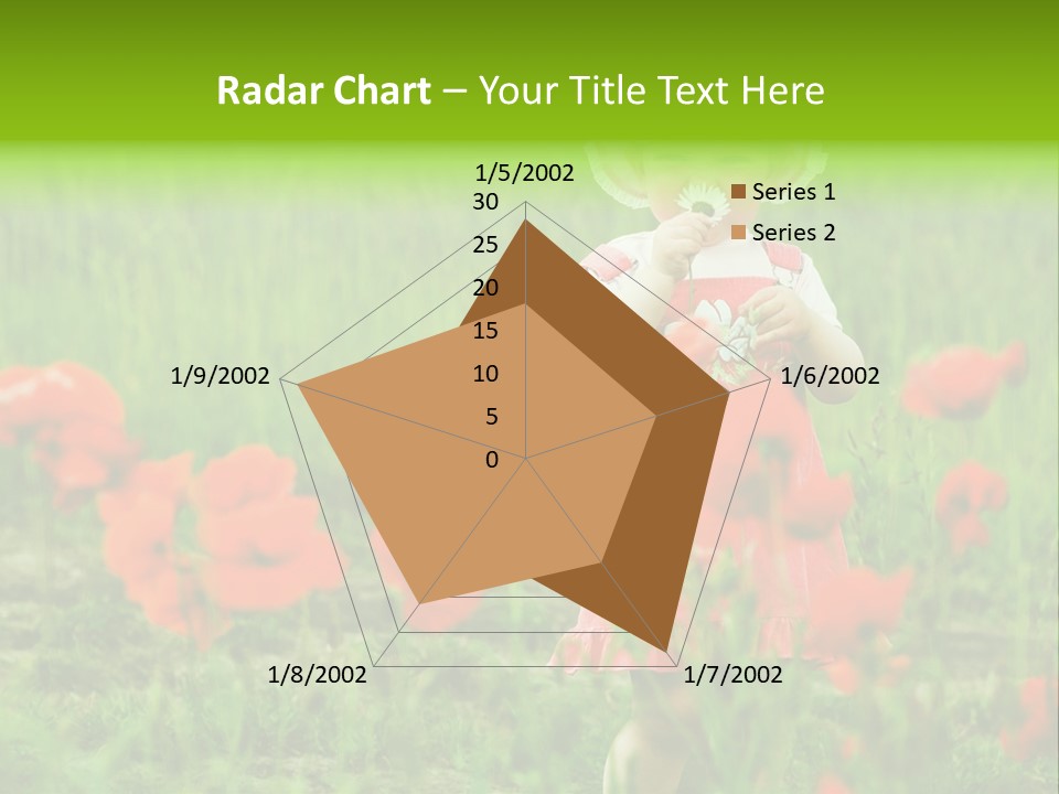 Garnished Dish With Pork Cheese Tomato And Lettuce PowerPoint Template