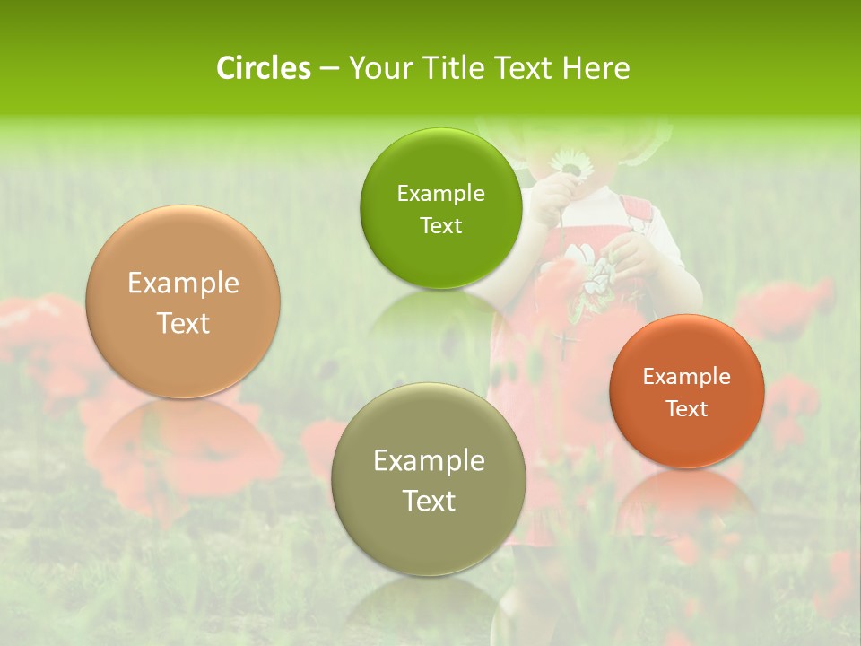 Garnished Dish With Pork Cheese Tomato And Lettuce PowerPoint Template