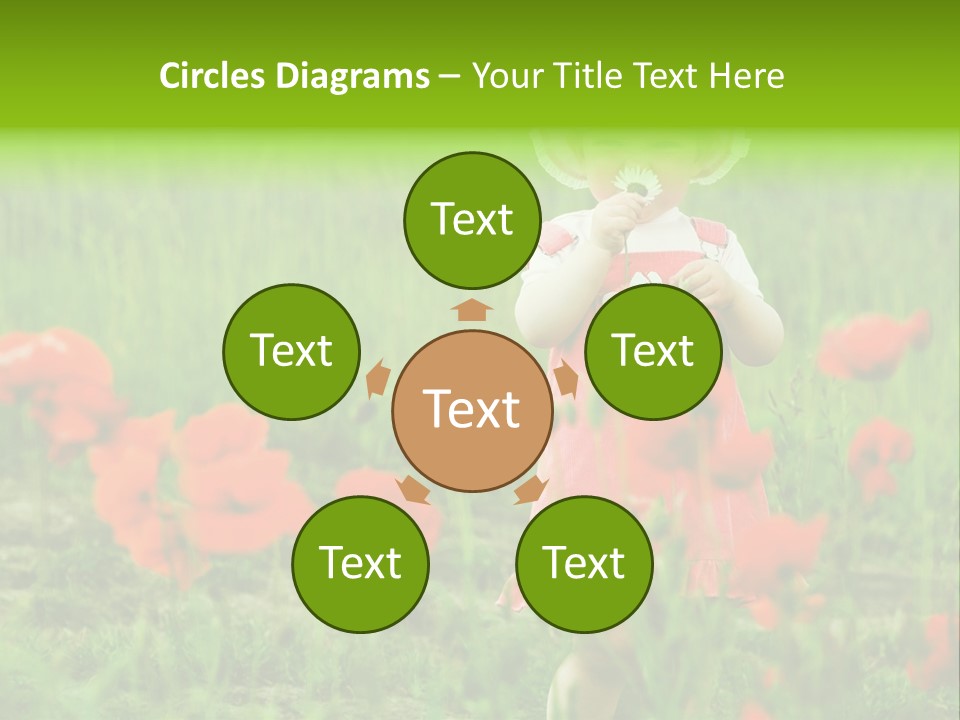 Garnished Dish With Pork Cheese Tomato And Lettuce PowerPoint Template