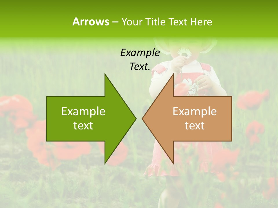 Garnished Dish With Pork Cheese Tomato And Lettuce PowerPoint Template