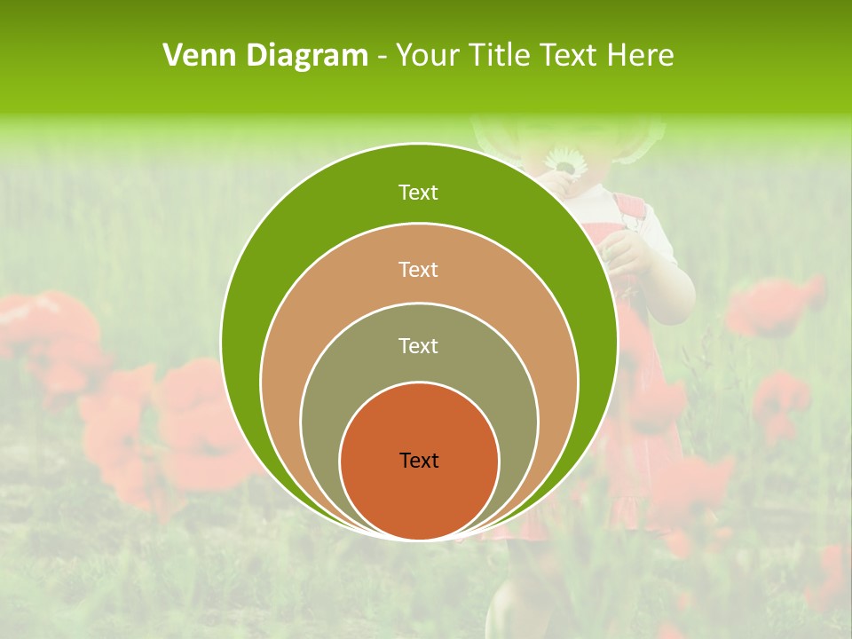 Garnished Dish With Pork Cheese Tomato And Lettuce PowerPoint Template