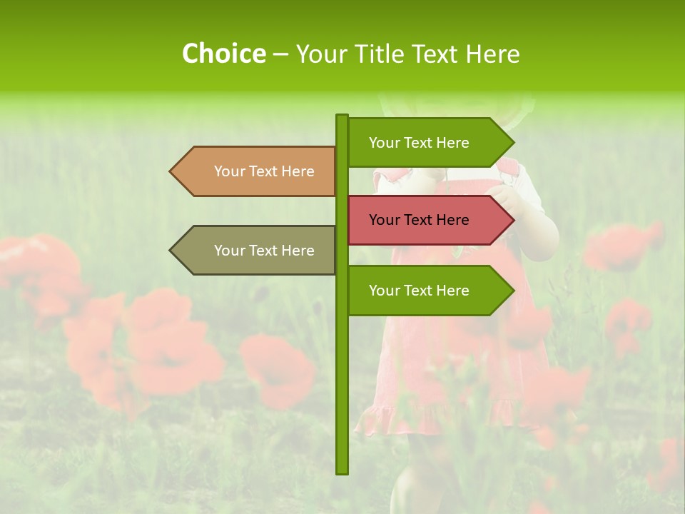 Garnished Dish With Pork Cheese Tomato And Lettuce PowerPoint Template