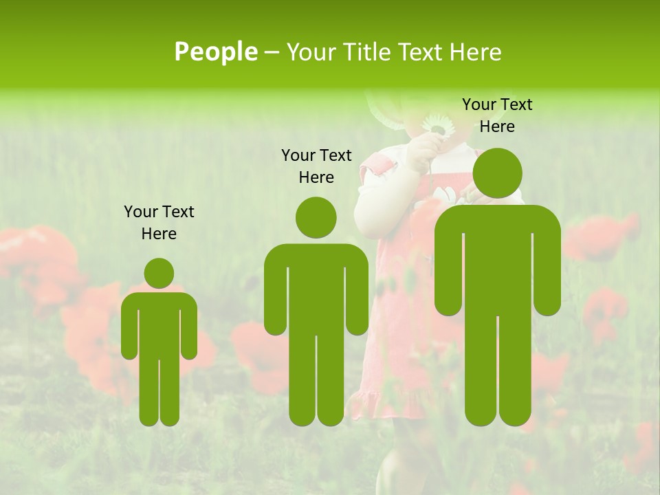 Garnished Dish With Pork Cheese Tomato And Lettuce PowerPoint Template