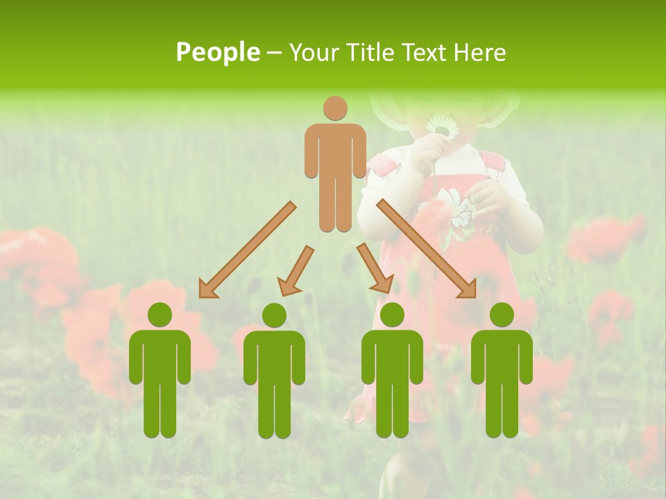 Garnished Dish With Pork Cheese Tomato And Lettuce PowerPoint Template