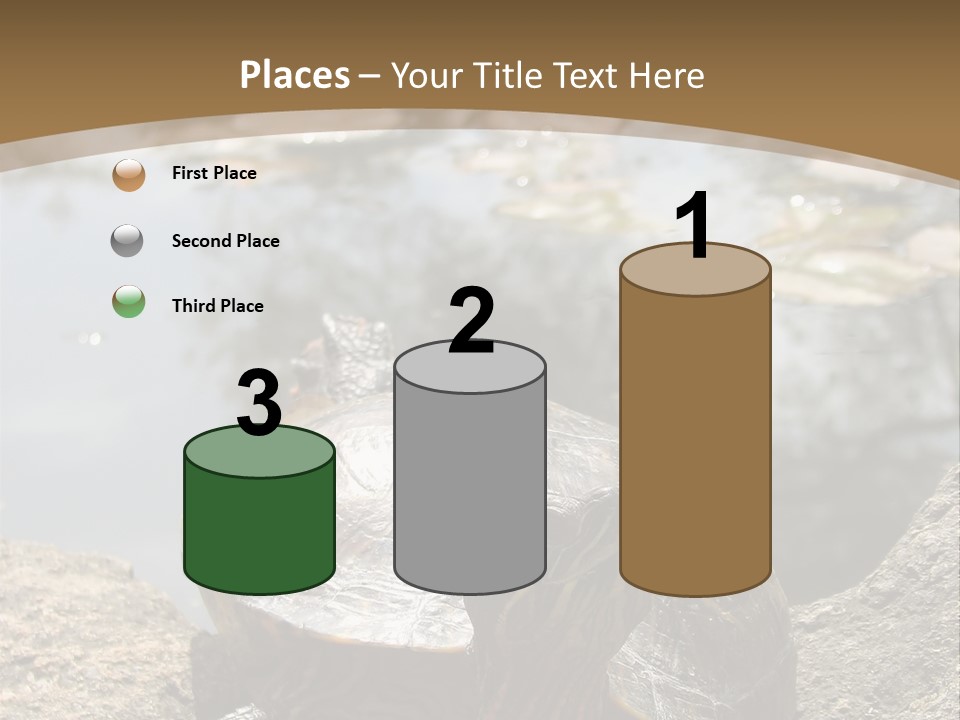 Sunbathing Turtle PowerPoint Template