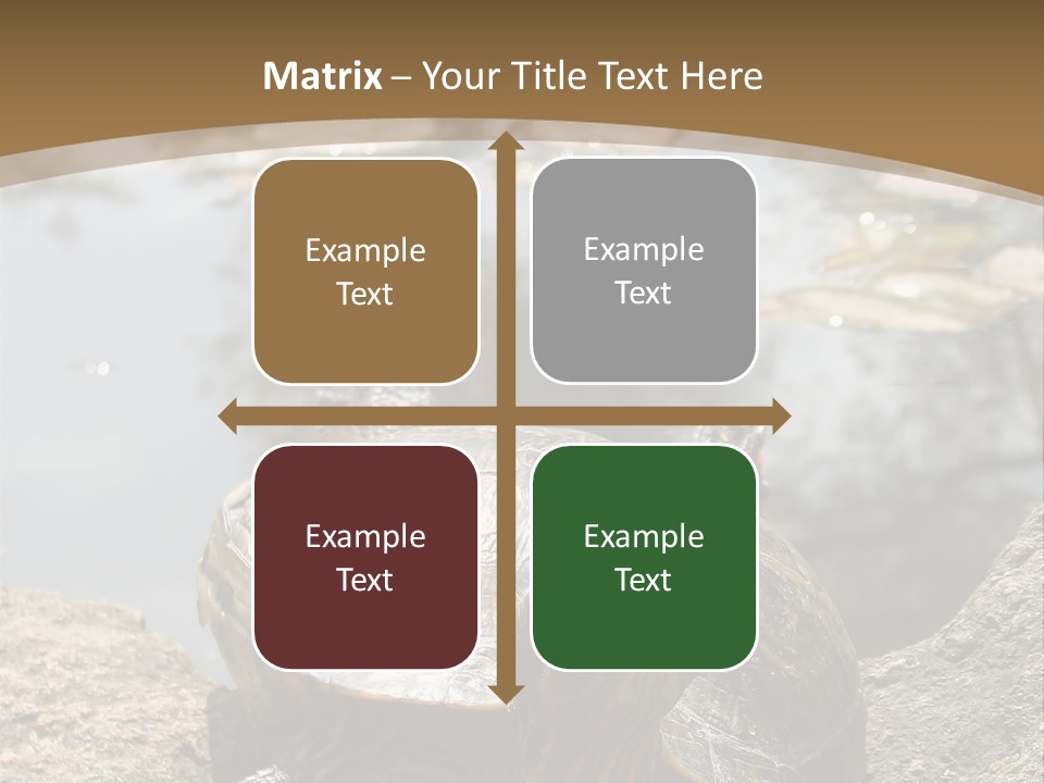 Sunbathing Turtle PowerPoint Template