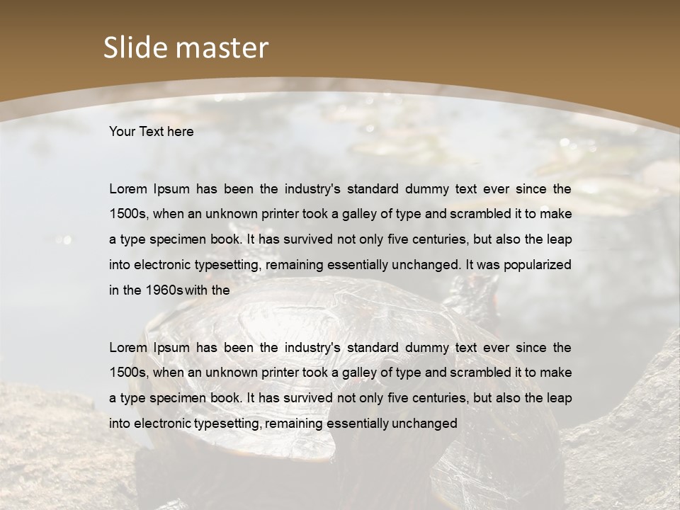 Sunbathing Turtle PowerPoint Template