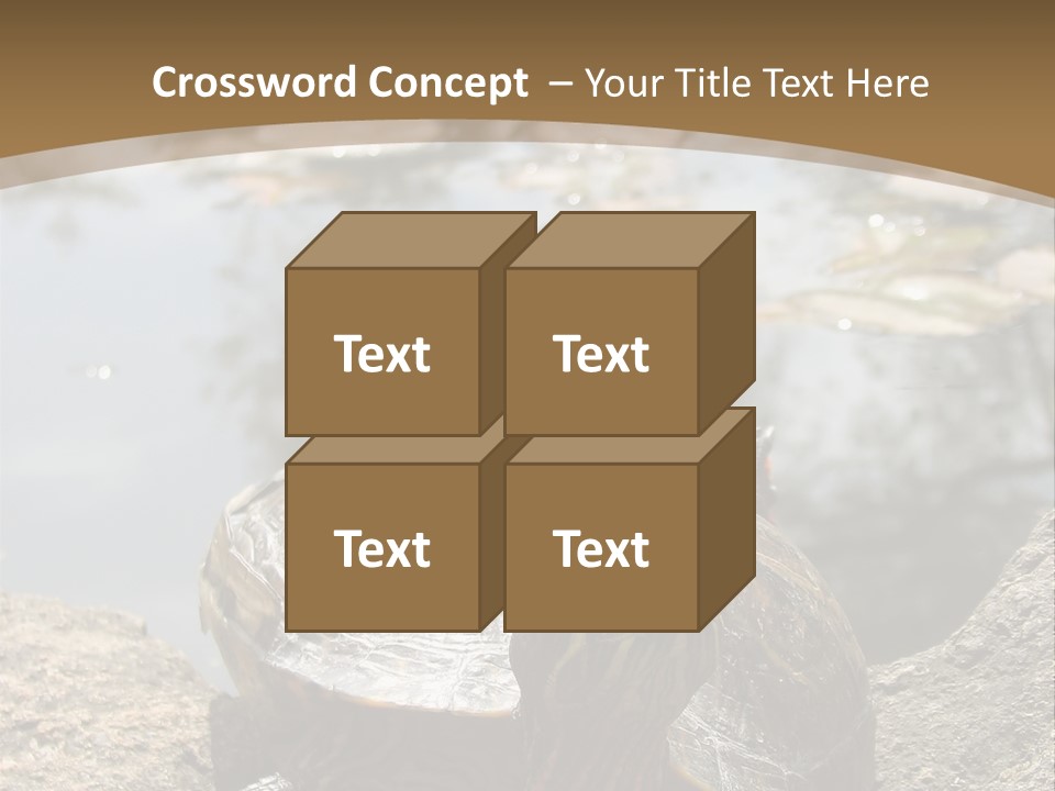 Sunbathing Turtle PowerPoint Template