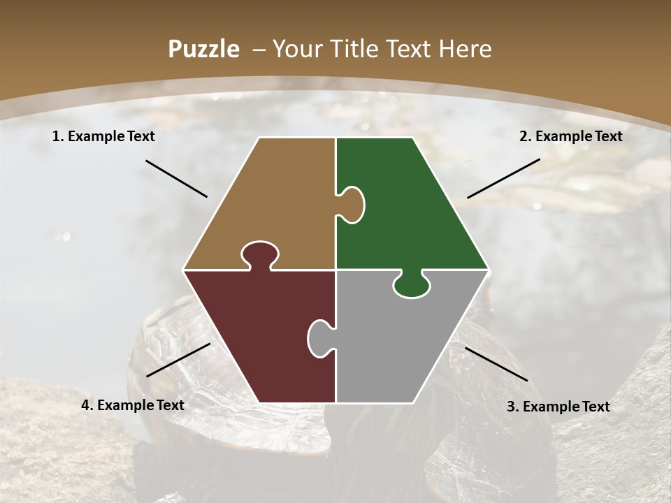 Sunbathing Turtle PowerPoint Template