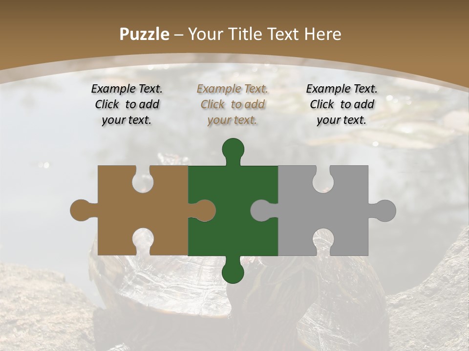 Sunbathing Turtle PowerPoint Template