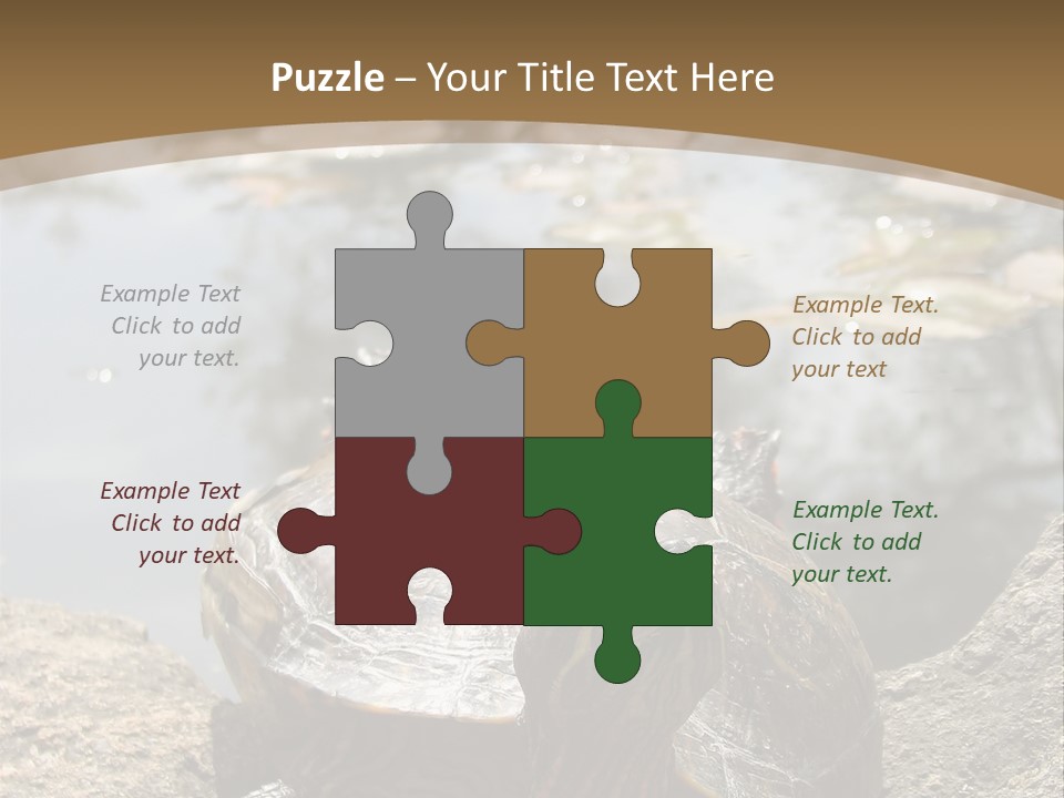 Sunbathing Turtle PowerPoint Template