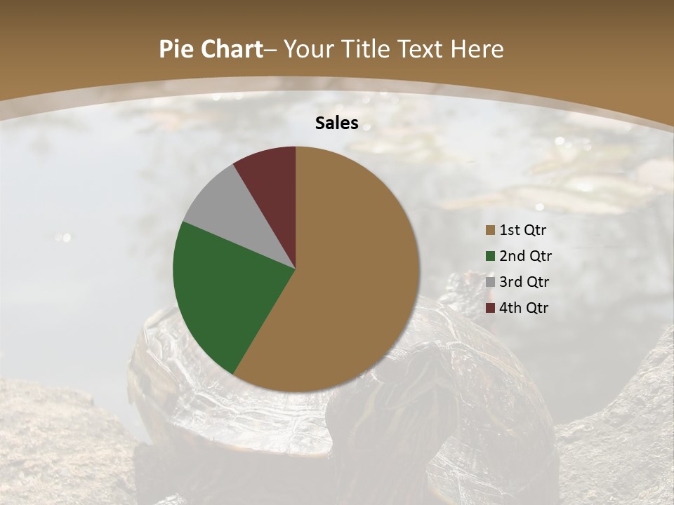 Sunbathing Turtle PowerPoint Template