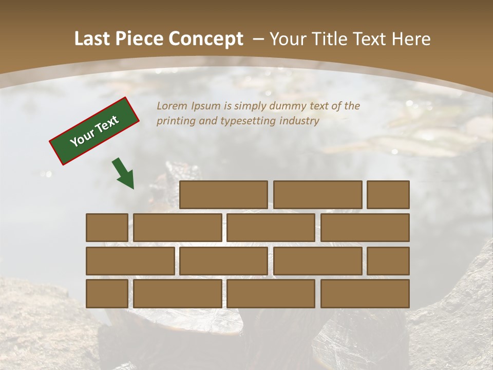 Sunbathing Turtle PowerPoint Template