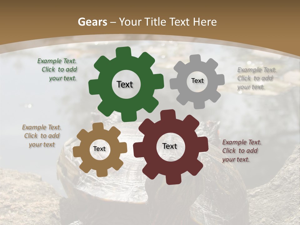 Sunbathing Turtle PowerPoint Template