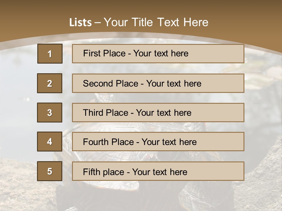 Sunbathing Turtle PowerPoint Template