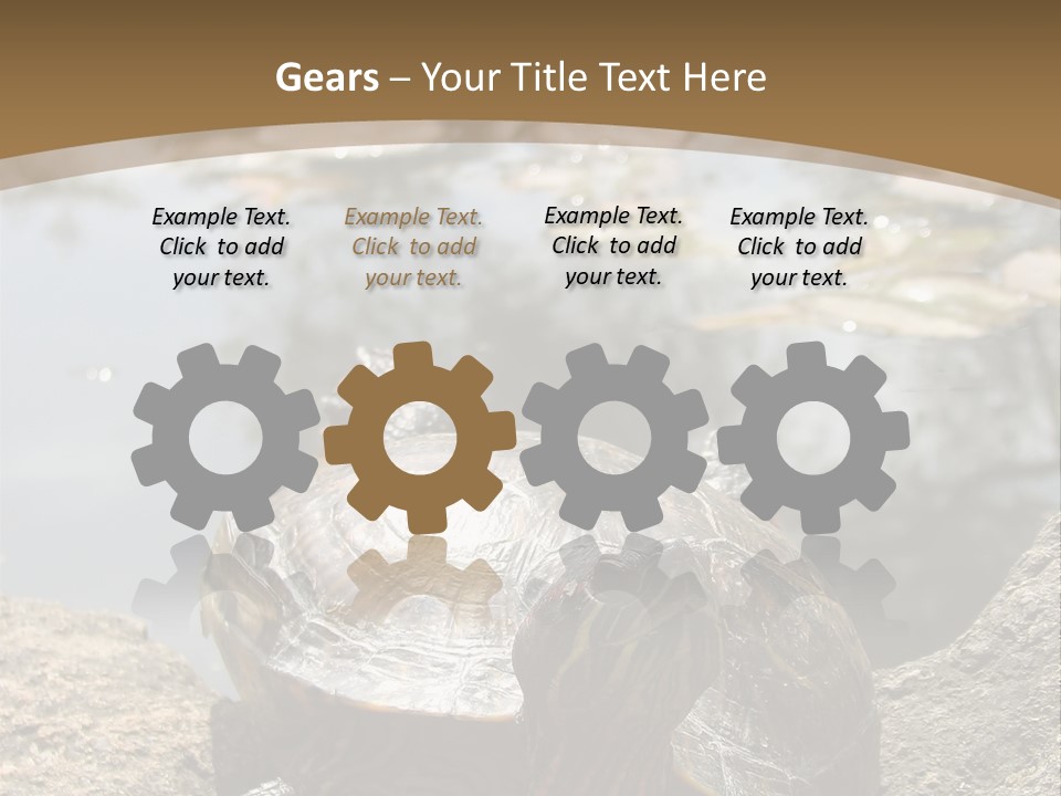 Sunbathing Turtle PowerPoint Template