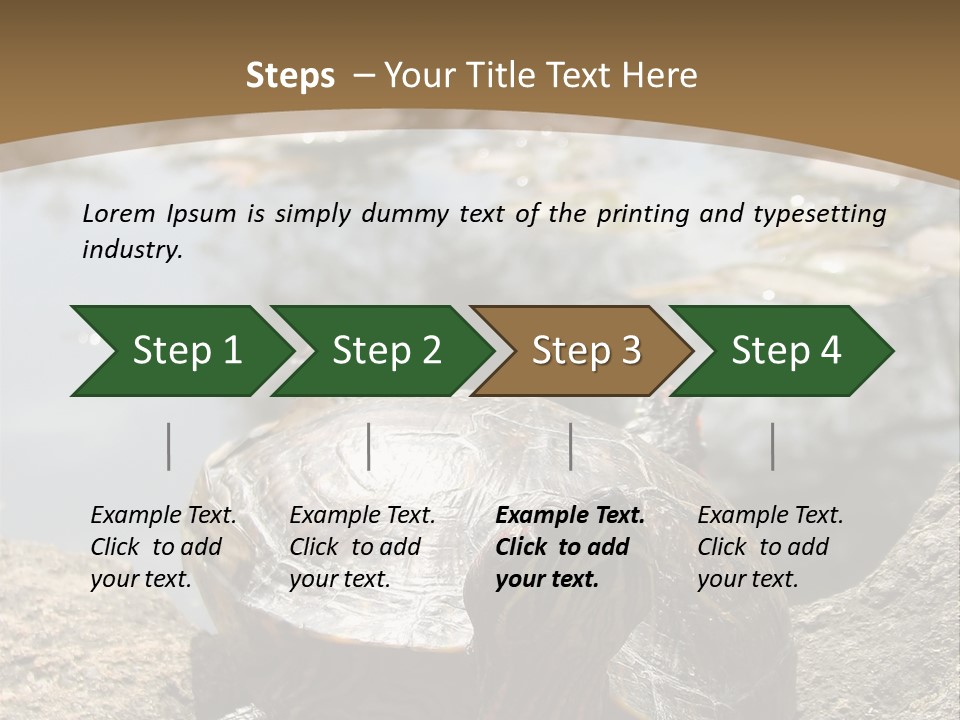 Sunbathing Turtle PowerPoint Template