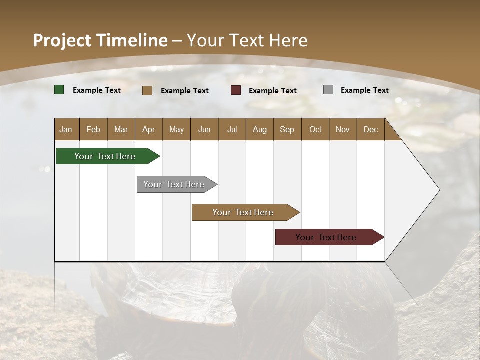 Sunbathing Turtle PowerPoint Template