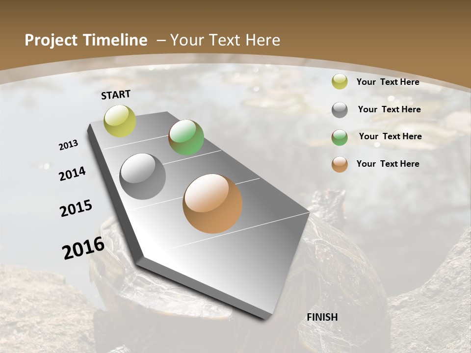 Sunbathing Turtle PowerPoint Template