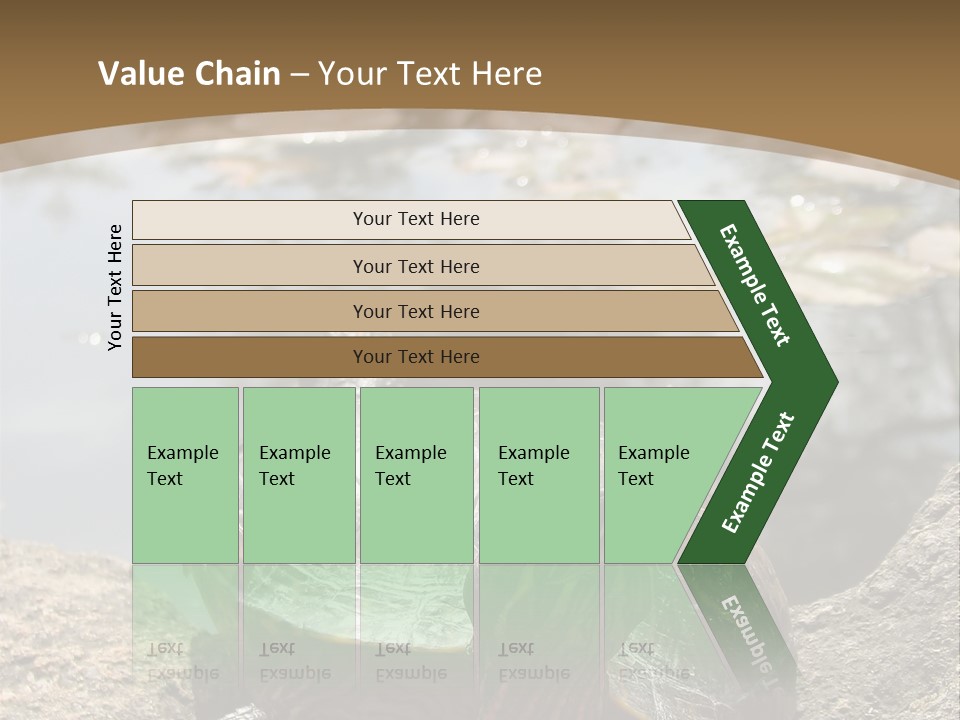 Sunbathing Turtle PowerPoint Template