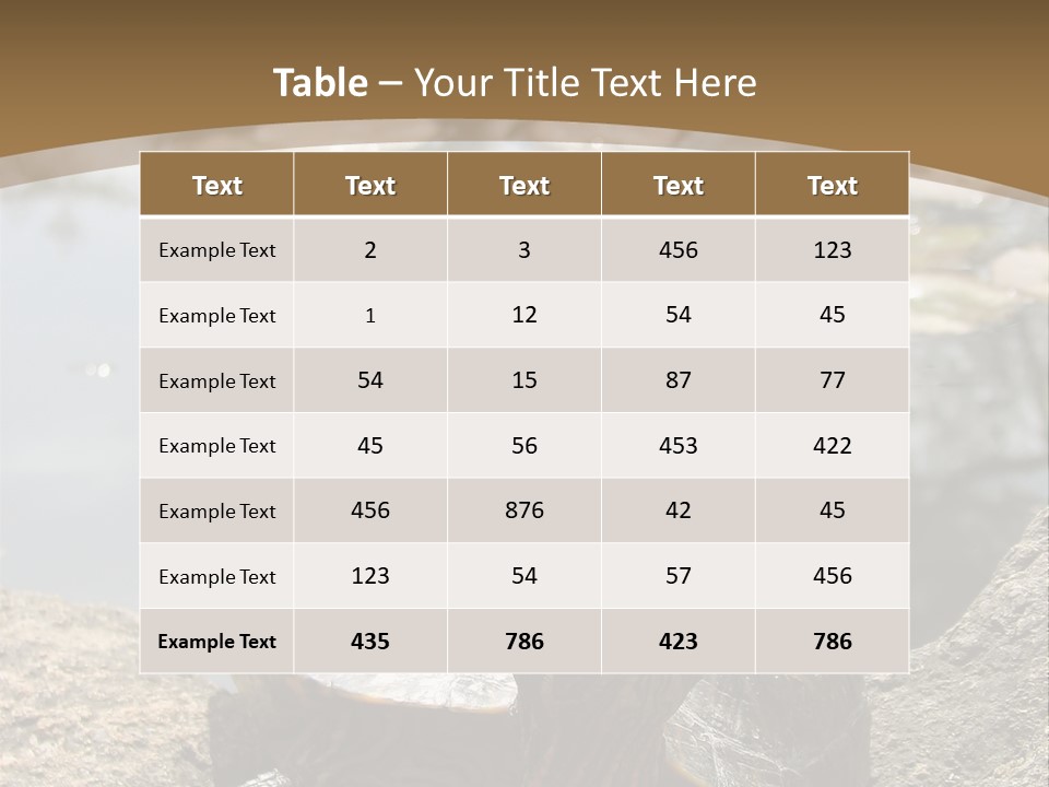 Sunbathing Turtle PowerPoint Template